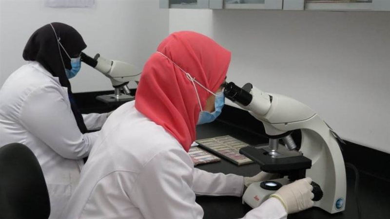 وحدة الصبغات المناعية