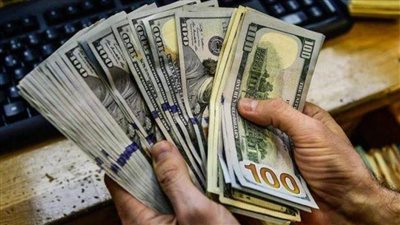 سعر الدولار الأمريكي يستقر في مصر ويتراجع عالميًا