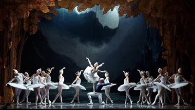 الأوبرا تستضيف بجعات سان بطرسبرج أربعة أيام بالقاهرة والإسكندرية