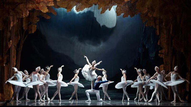 جانب من عرض بجعات