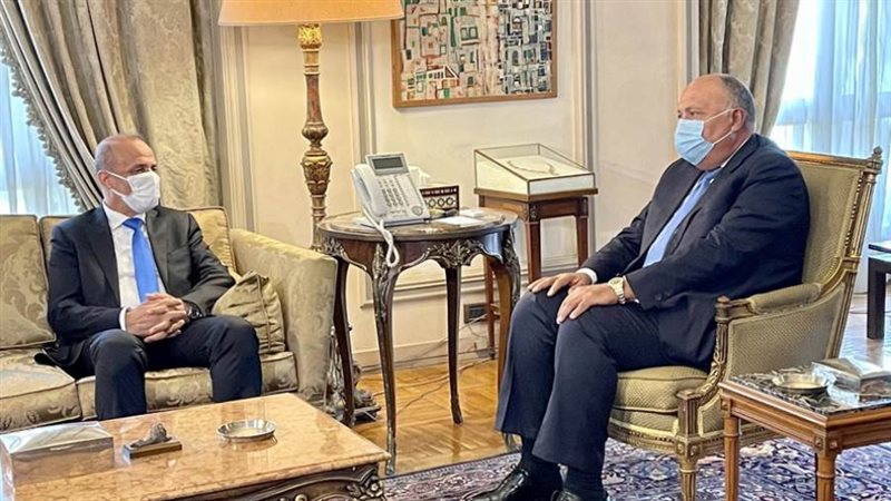 سامح شكري مع موسى