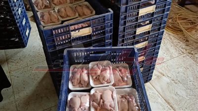 ضبط 400 طبق سمان بدون بيانات بكفرالشيخ