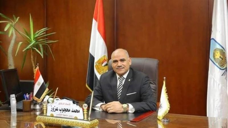 الدكتور محمد محجوب