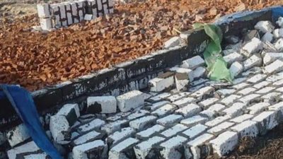 إزالة 12 حالة تعدٍ على الأراضي الزراعية بالبحيرة 