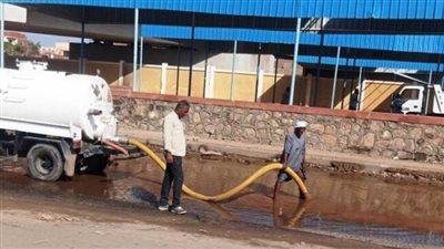 حملات لمكافحة الحشرات الضارة بالشوارع والمنازل لاحتواء تداعيات السيول بأسوان 