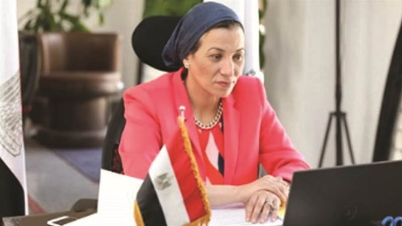 الدكتورة ياسمين فؤاد