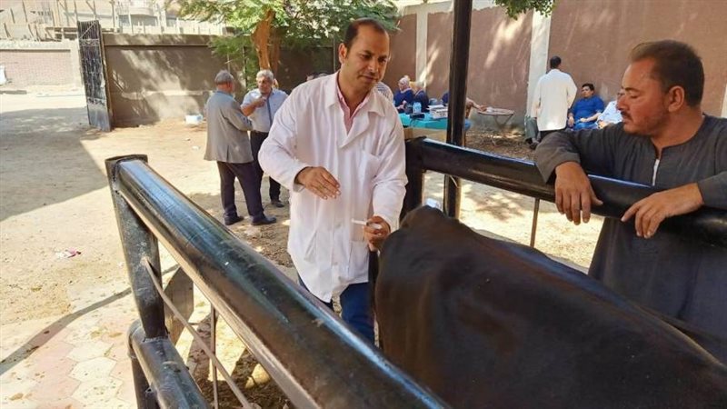 جانب من الحملة