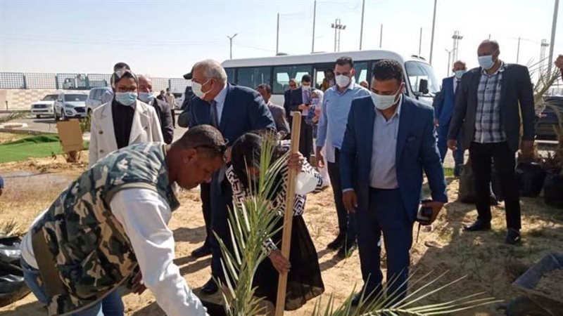 رئيس أكاديمية البحث