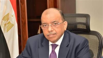 وزير التنمية المحلية يوجه 7 محافظات بالاستعدادات لمواجهة التقلبات الجوية