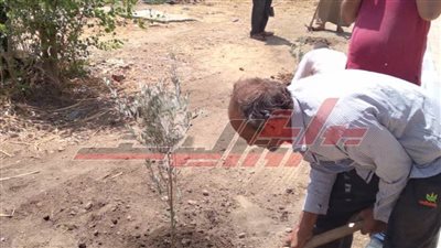  تشجير ضفتي النهر والترع بالأشجار المثمرة مبادرة تحتاج إلى 