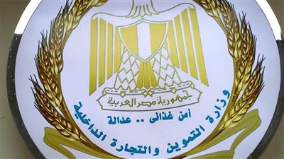 تحرير 686 محضرًا تموينيًا في حملات تفتيشية مكثفة بدمياط