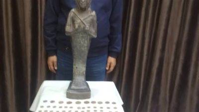 ضبط متهم بالشرقية يروج 201 قطعة يشتبه في أثريتها