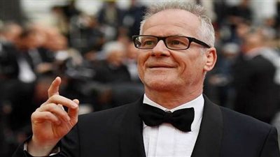 مدير مهرجان 