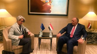 وزير الخارجية يبحث مع المبعوثة الأوروبية للقرن الإفريقي تطورات سد النهضة 