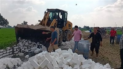 إزالة حالتي تعدٍ على الأراضي الزراعية بالبحيرة