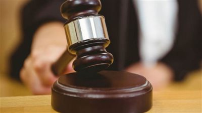 لـ24 نوفمبر.. تأجيل محاكمة المتهمين بخطف طفل من مستشفى أبو الريش