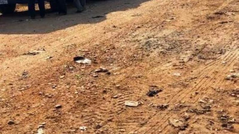 رفع القمامة