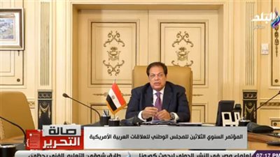 أبو العينين في مؤتمر عالمي: إنجازات مصر في 6 سنوات تجاوزت ما تم خلال 20 عامًا 