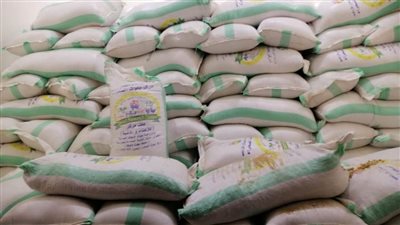 «عبدالعال»: برنامج دعم أبناء سيناء يدعم تنمية الثروة الحيوانية كمصدر دخل 