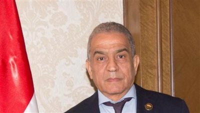 المالية تستجيب لطلب برلماني بإلغاء تحسين سعر خام البولي ايثلين المستورد بالجمارك