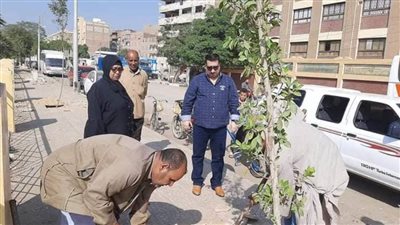 زراعة 510 أشجار على الطرق الشوارع وأمام المدارس بحي غرب سوهاج 