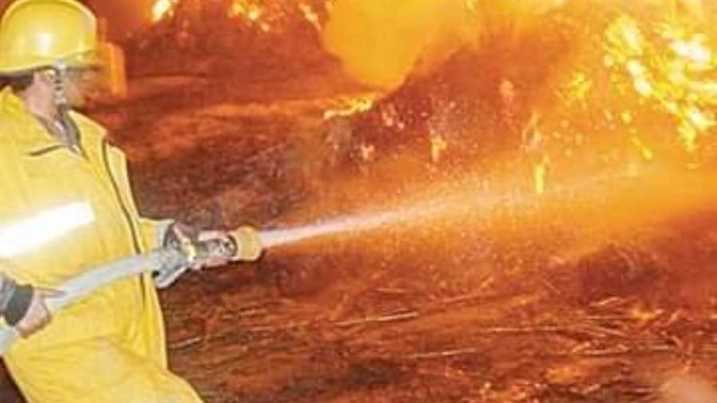 صورة أرشفيه