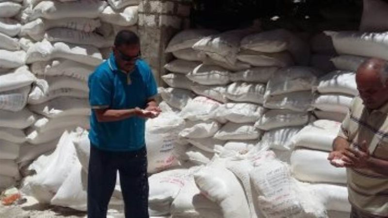 بوابة روز اليوسف