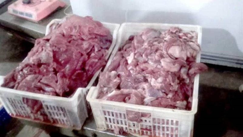 مباحث التموين بالقليوبية