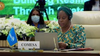 السكرتير العام للكوميسا: مصر من الدول الرائدة في الأداء الاقتصادي 