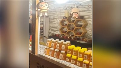 علاء عزوز يتفقد الاستعدادات النهائية لمهرجان العسل المصري 