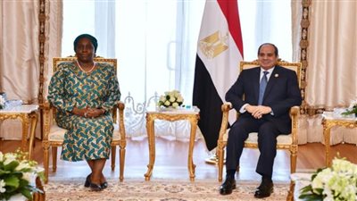 سكرتير عام الكوميسا: مصر مثّلت الدعامة الأولى للعمل الإفريقي 