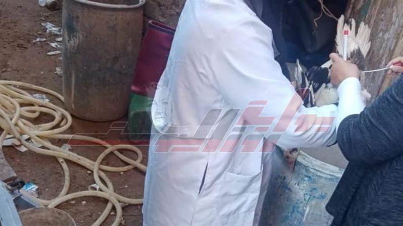 تعطيم الطيور