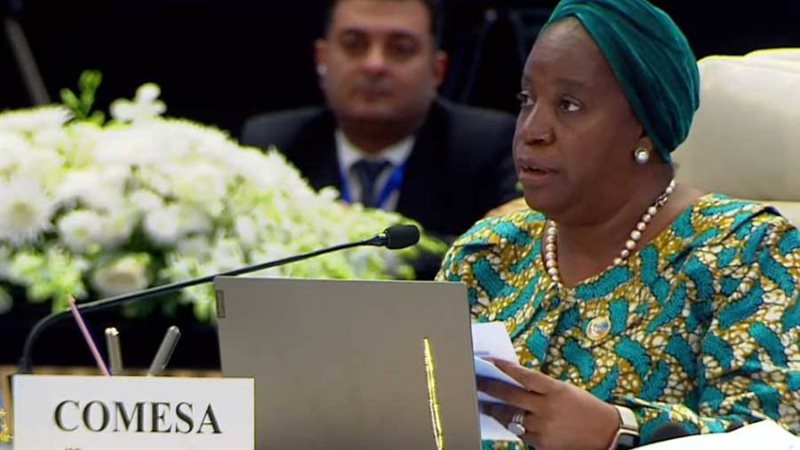 الأمين العام للكوميسا