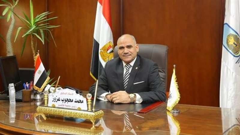 الدكتور محمد محجوب