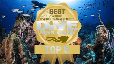 عاجل.. أفضل مراكز ومنتجعات الغوص لعام 2021 في مصر والعالم 