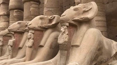 زاهي حواس: العالم يترقب احتفالية طريق الكباش بحضور الرئيس السيسي