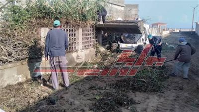 حملات مكبرة لتهذيب الأشجار وتطهير شوارع مدينة مصيف بلطيم في كفر الشيخ