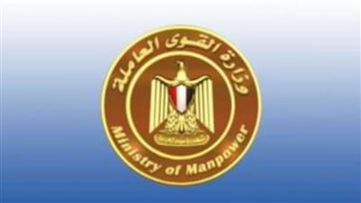 القوى العاملة تُحرر 456 محضراً لمنشآت مخالفة فى الإسكندرية