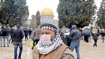 فلسطين تسجل 210 إصابات جديدة بفيروس كورونا