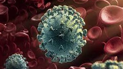 وزير دولة ألماني: هناك احتمالية أن المتغير 