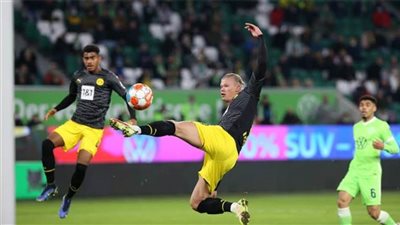 بوروسيا دورتموند يفوز على فولفسبورج ويتصدر الدوري الألمانى