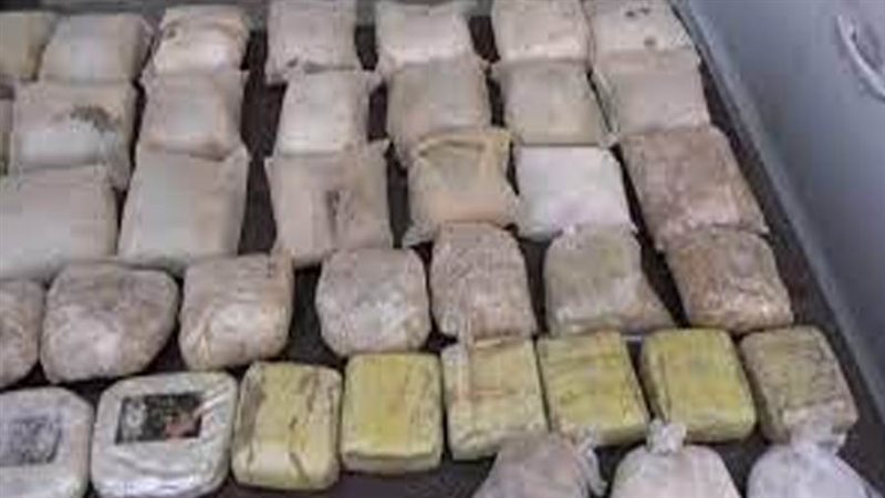 ضبط 100 طربة حشيش