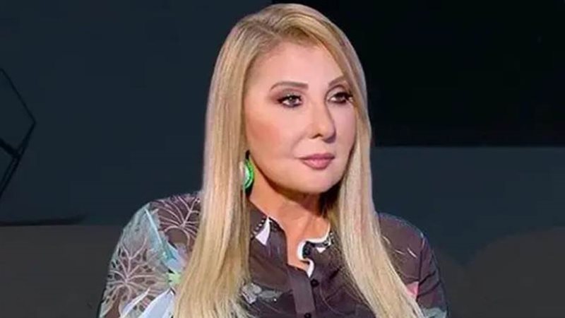 الفنانة نادية الجندي