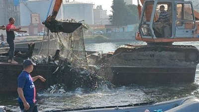 إزالة ٦٣ قفص سمكي بنهر النيل بمركز المحمودية بالبحيرة
