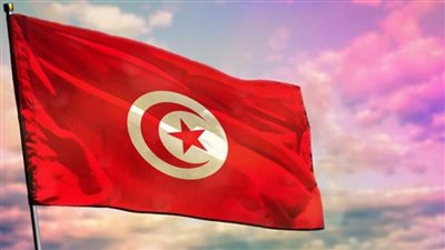 ممثلة تونس في الاتحاد من أجل المتوسط تكشف دور دولتها 