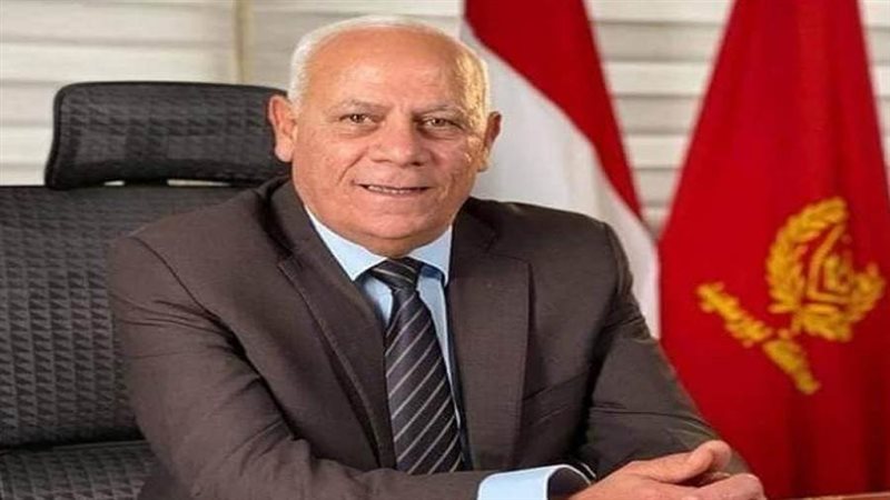 محافظ بوسعيد عادل