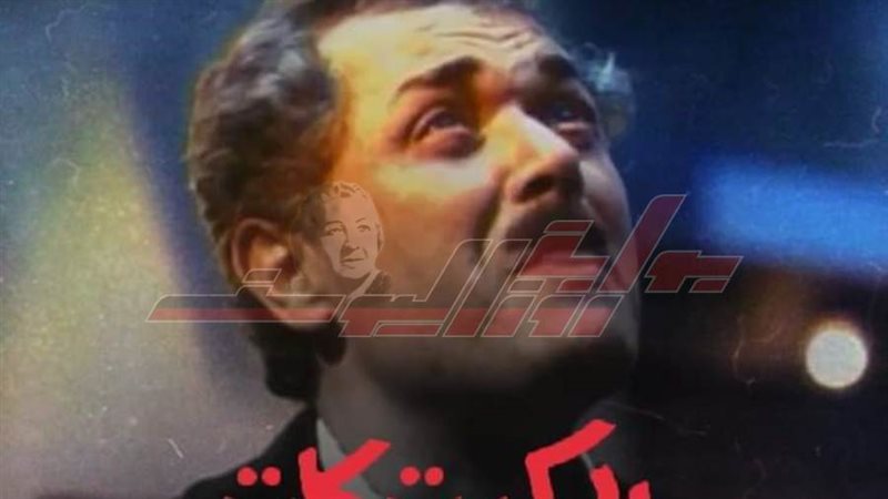 فيلم الكيت كات