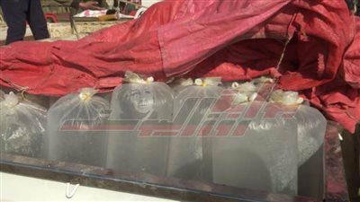 ضبط سيارة محملة بـ 3500 ألف وحدة زريعة أسماك بكفر الشيخ