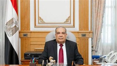 وزير الدولة للإنتاج الحربي يتفقد جناح شركة 