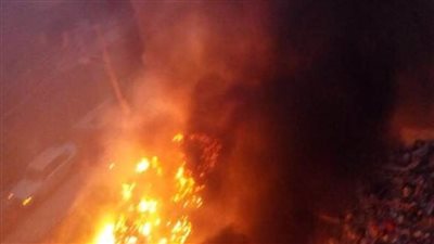 السيطرة على حريق بمزارع للنخيل في الوادي الجديد